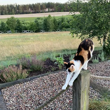 펜션 Farma Noe - Lipnica (Bytow)