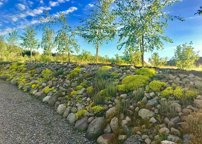 Farma Noe - Lipnica (Bytow)