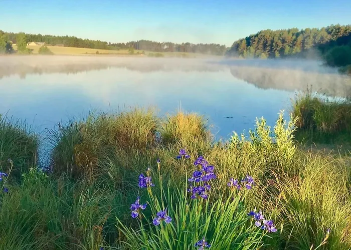 Dom wakacyjny Farma Noe -